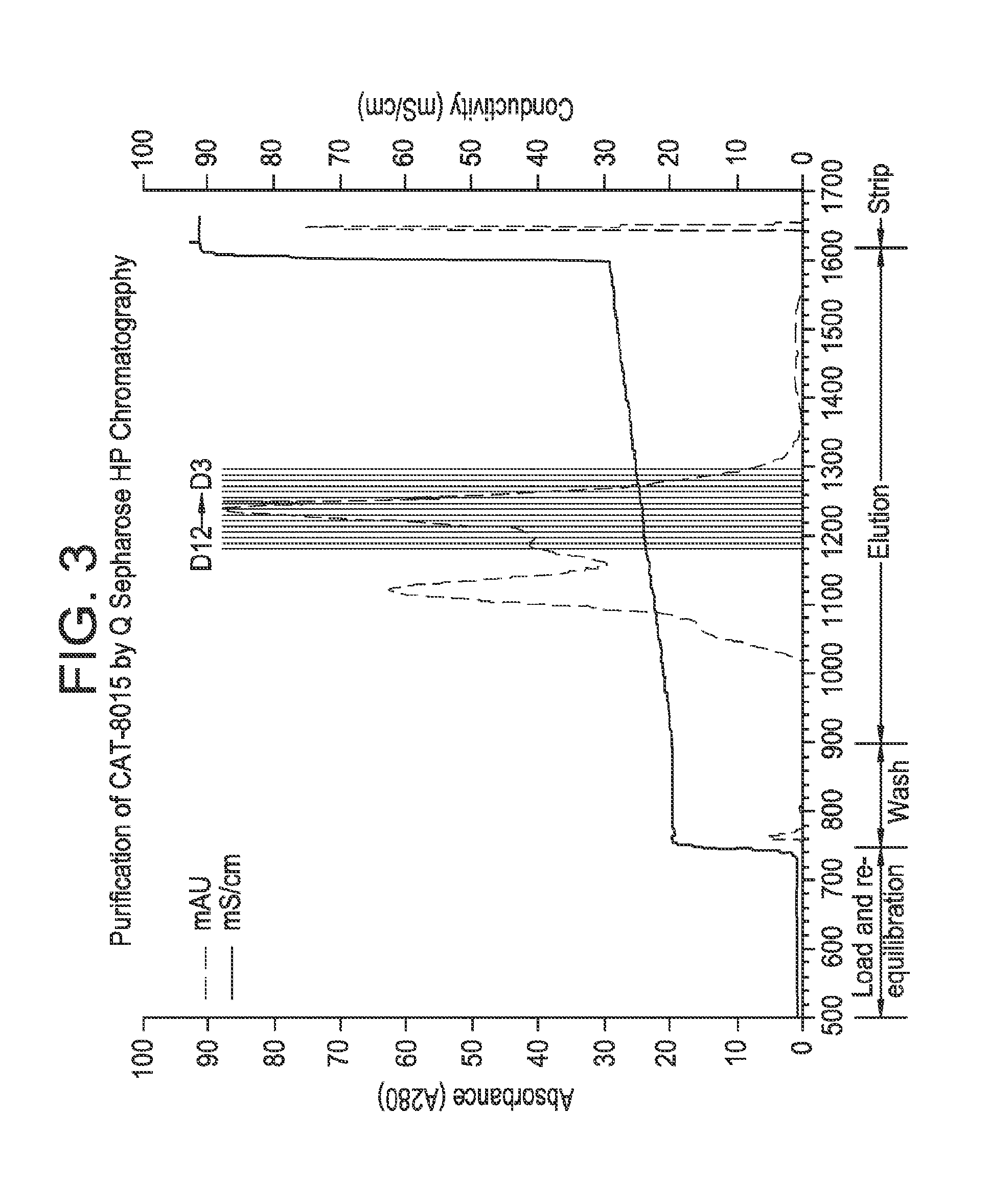 Method for purifying active polypeptides or immunoconjugates