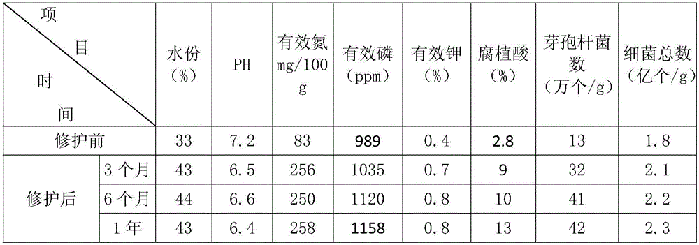 Bioactive pit mud and preparation method thereof