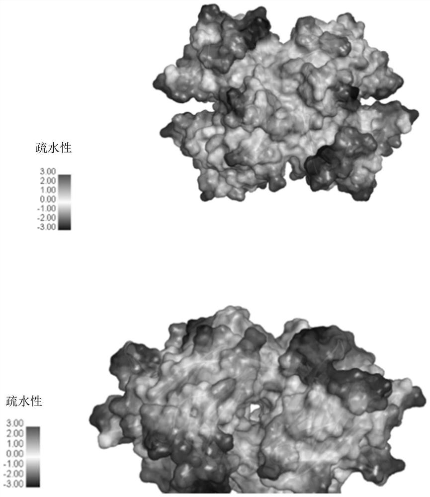 Ophthalmic preparation as well as preparation method and application thereof