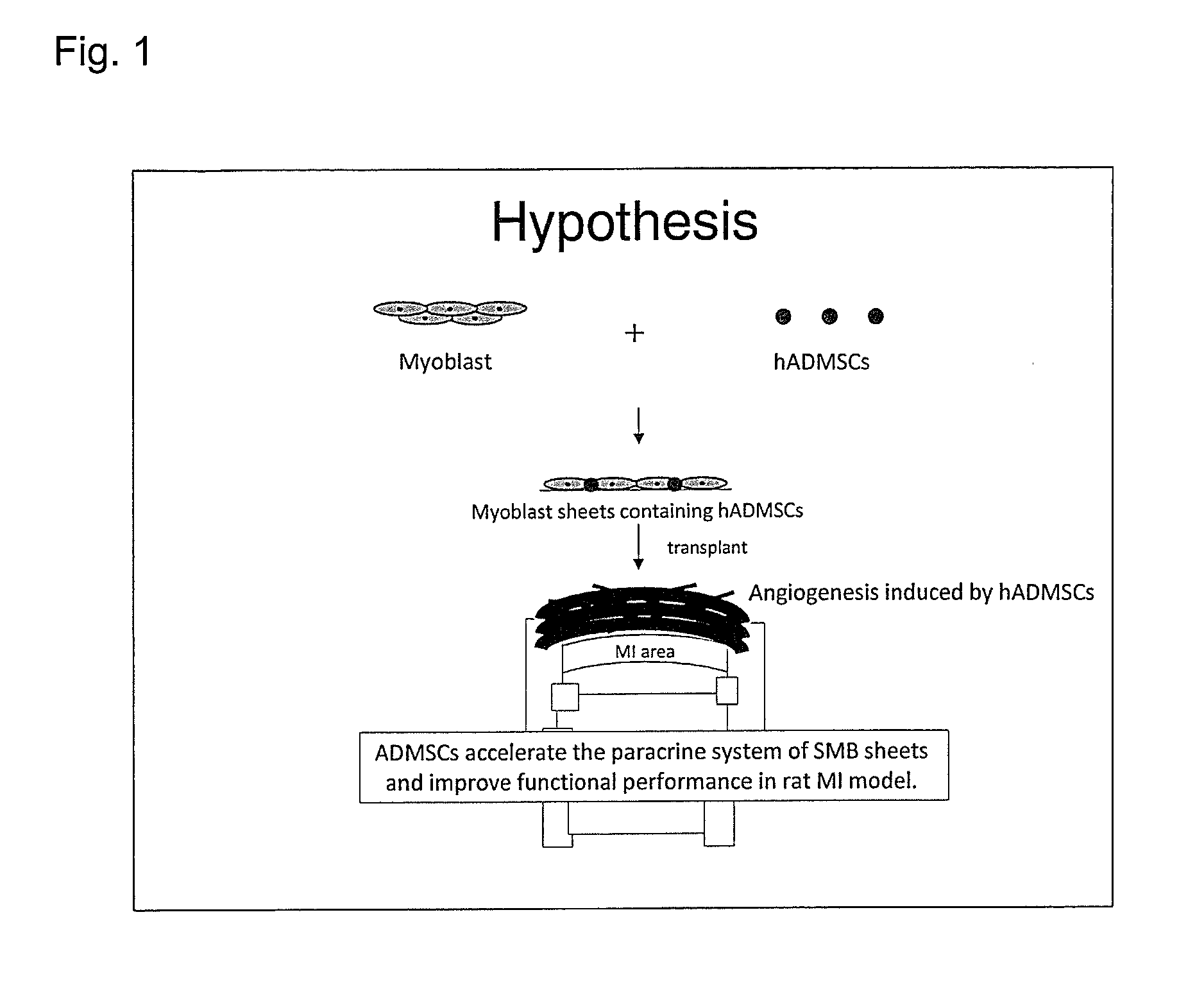 Cell sheet for myocardial regeneration, method of producing the same, and method of using the same