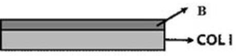 Gel matrix based on dopamine grafted zwitterionic polyphosphorylcholine modified type I collagen and preparation method of gel matrix