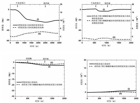 Gel matrix based on dopamine grafted zwitterionic polyphosphorylcholine modified type I collagen and preparation method of gel matrix