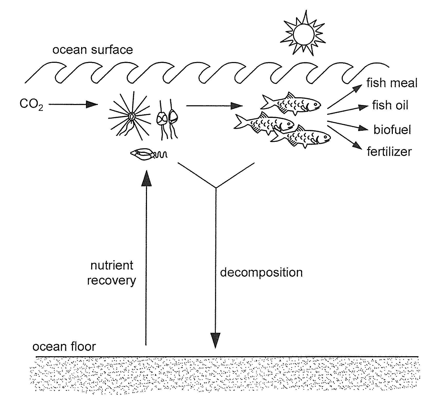 Deep water nutrient recovery system