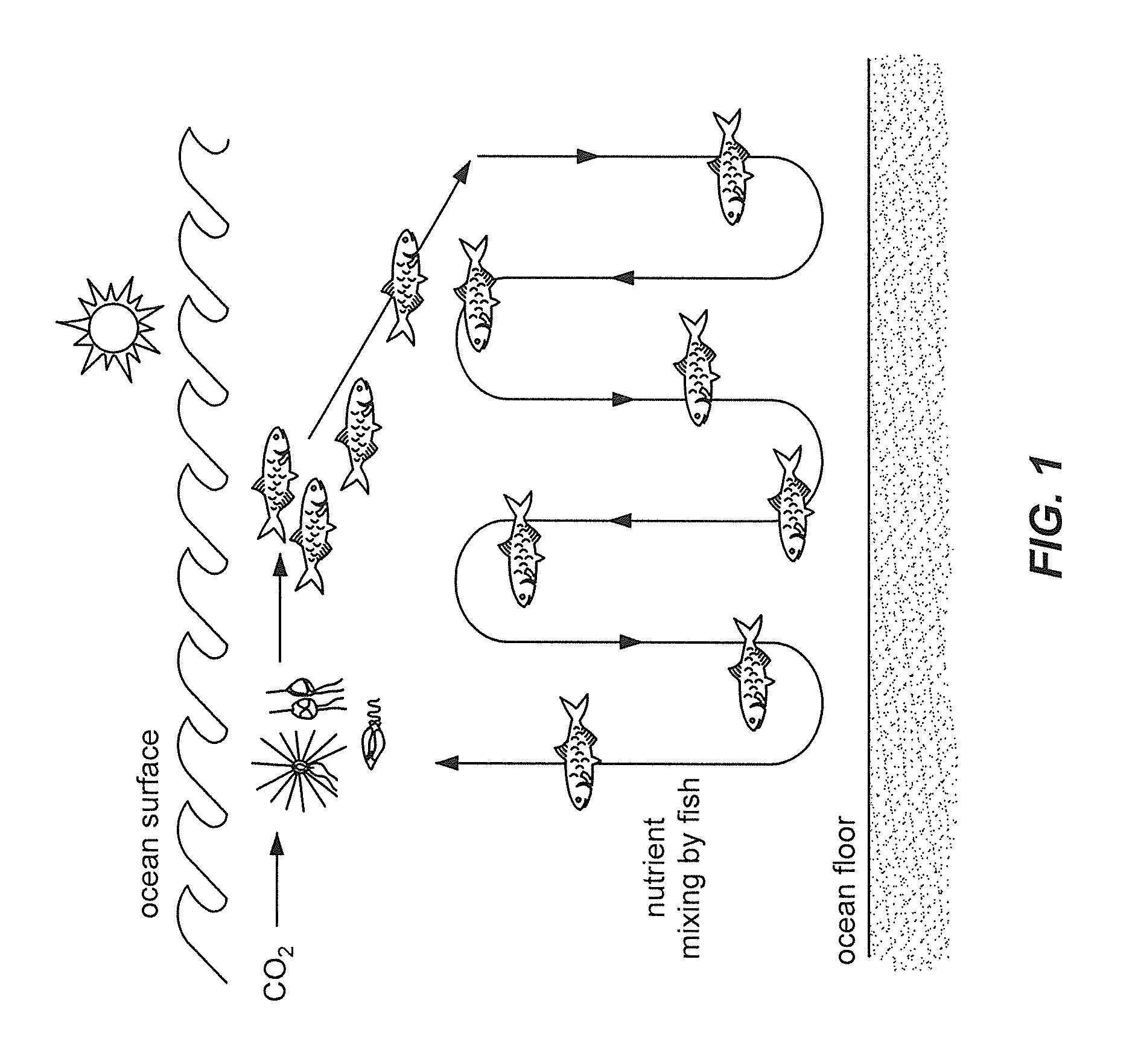 Deep water nutrient recovery system