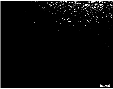 A kind of method of coating zinc oxide graphene reinforced magnesium alloy composite material