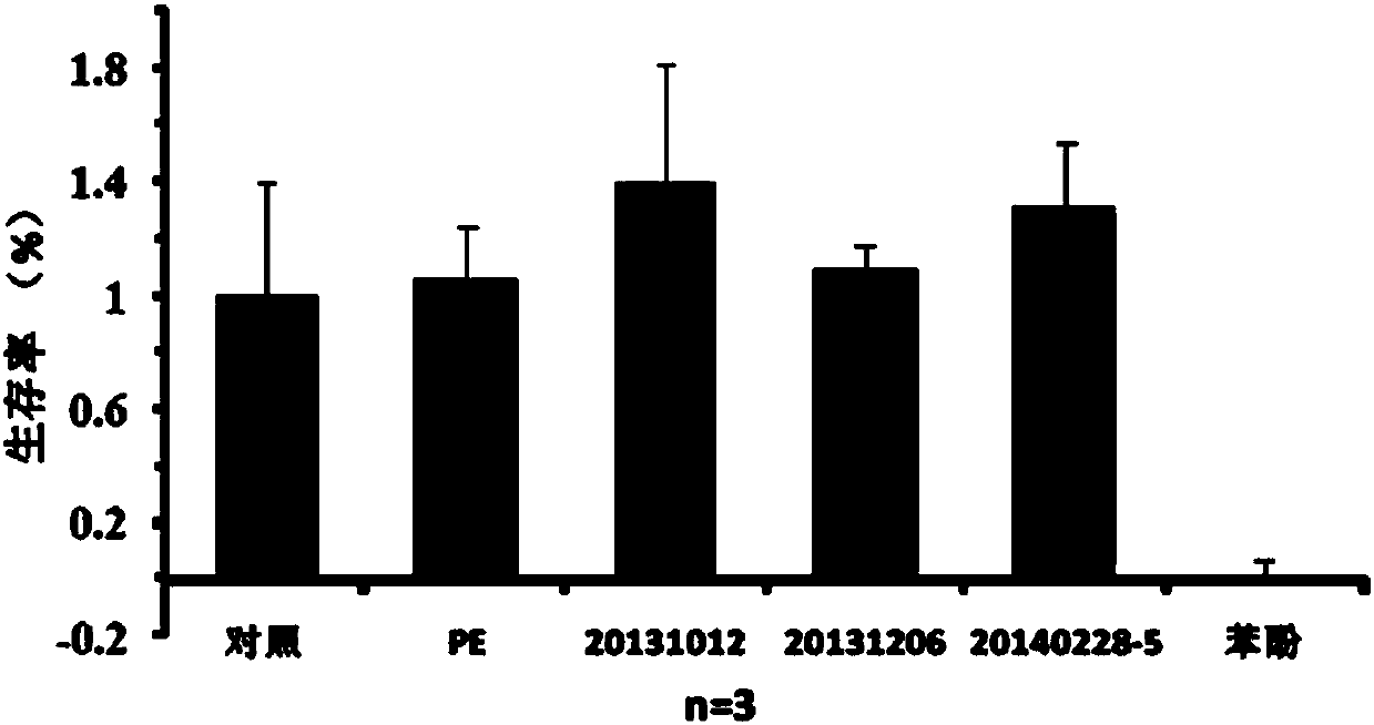 Amniotic biological agent and preparation method thereof