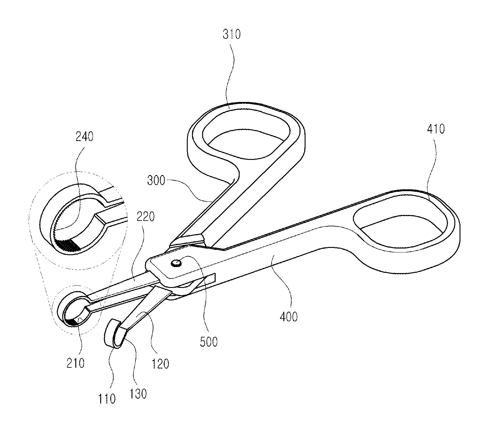 Rounded blade scissors