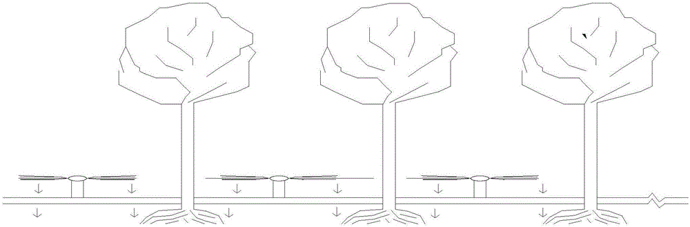 System used for plant root system infiltrating irrigation and soil drainage