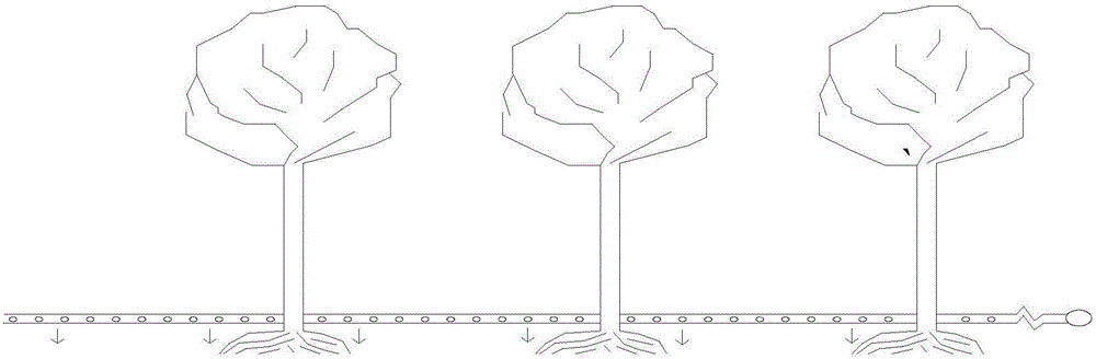 System used for plant root system infiltrating irrigation and soil drainage