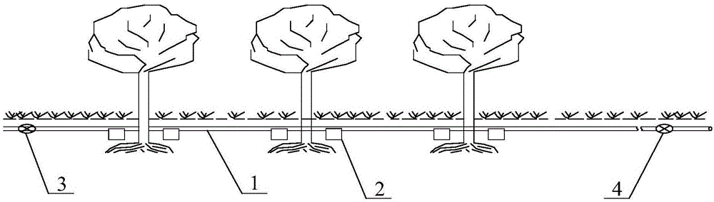 System used for plant root system infiltrating irrigation and soil drainage