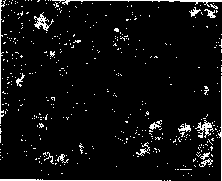 Method for preparing organic aerogel and carbon aerogel by using normal pressure exsiccation