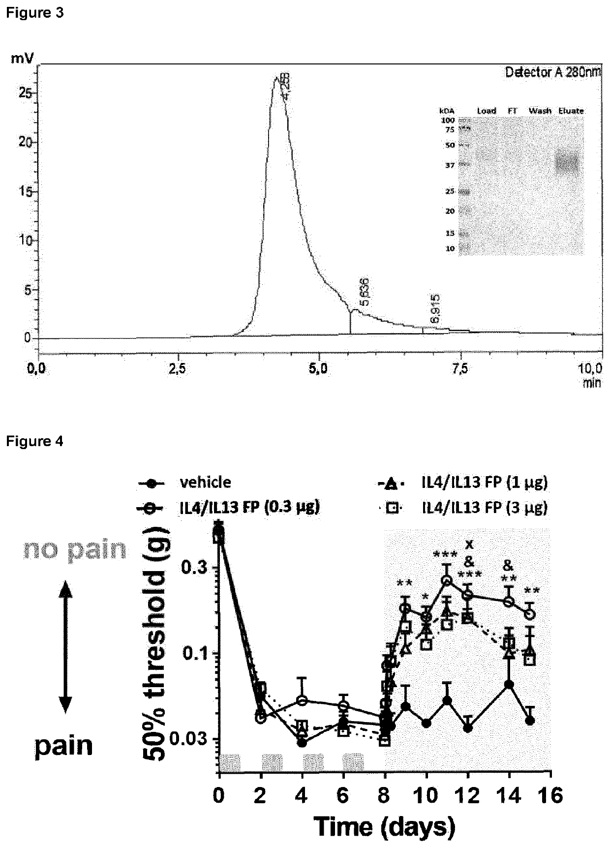 Fusion protein comprising il13