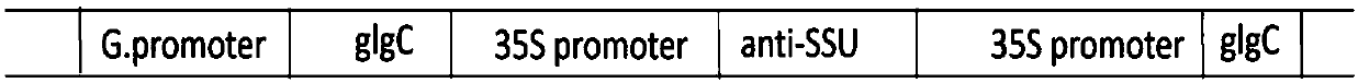 Cross-linked starch biosynthesis recombinant gene YXI and application thereof