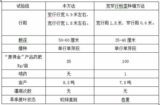 A kind of drought-resistant sugarcane powder ridge tillage planting method