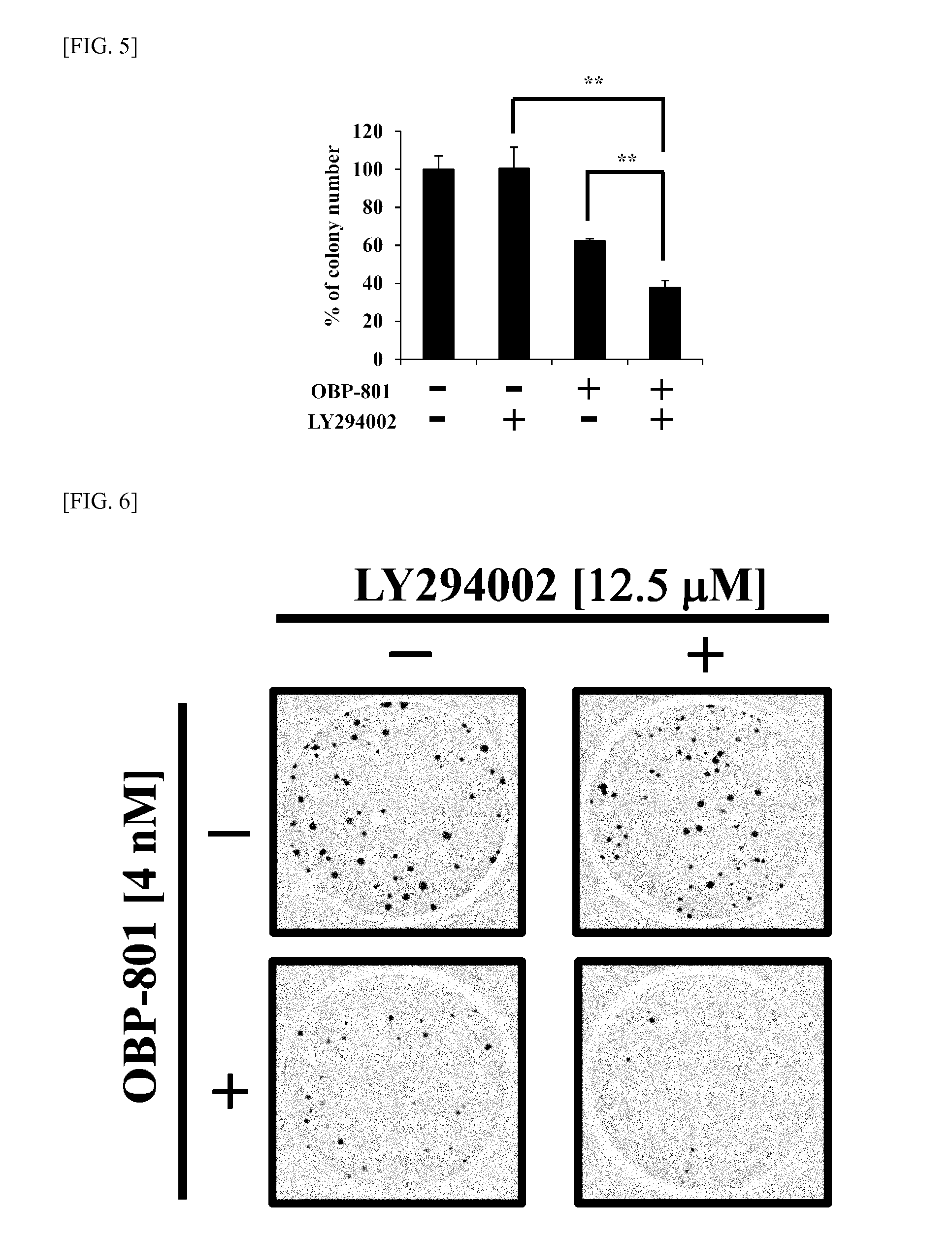 Molecularly targeted combination drug for tumor treatment and prevention