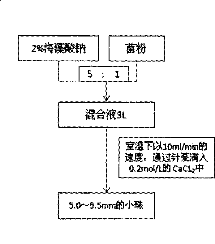 Method for preparing chitin/chitosan from rind and shell of silkworm chrysalis and fly maggot