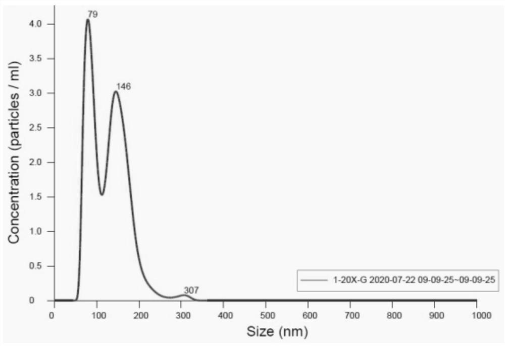 Preparation method and application of norcantharidin-loaded exosome