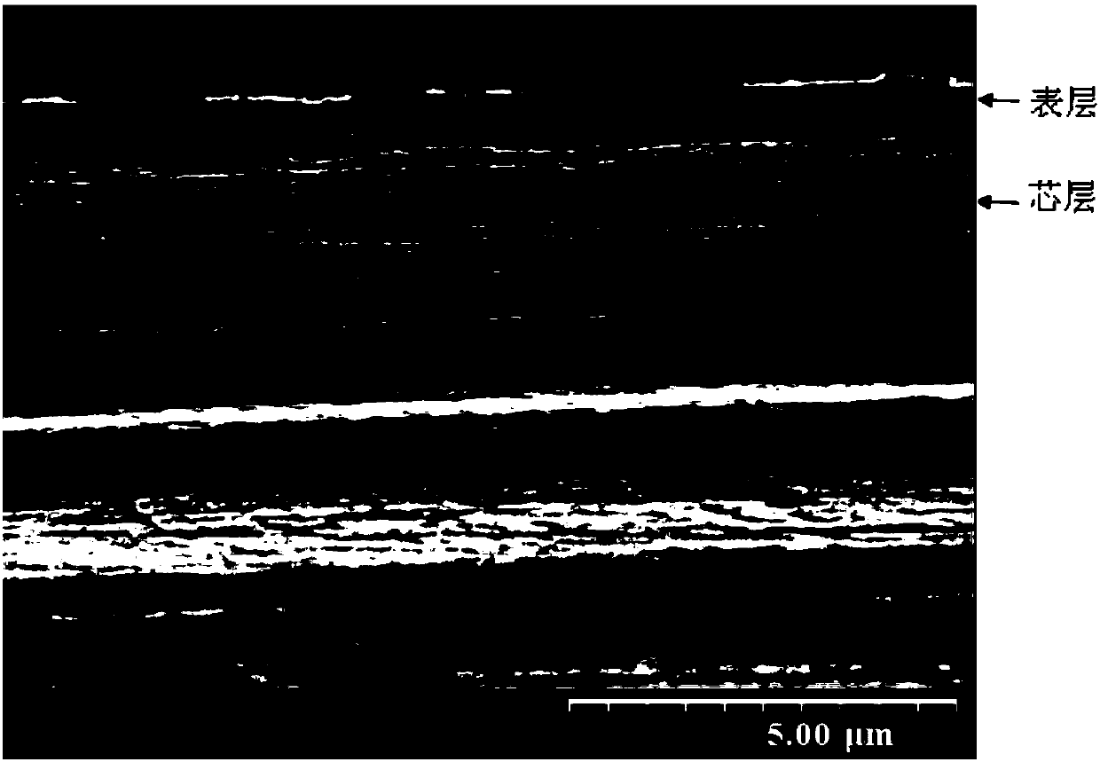 Modified polypropylene membrane, and preparation method thereof