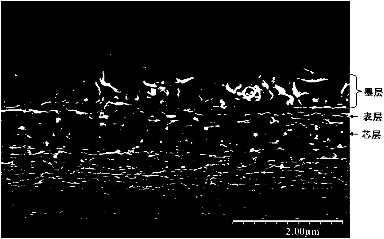 Modified polypropylene membrane, and preparation method thereof