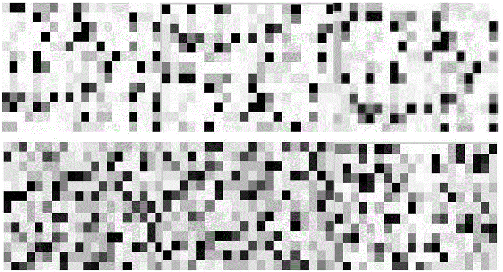 Method for predicting membrane protein beta-barrel transmembrane area based on sparse coding and chain training