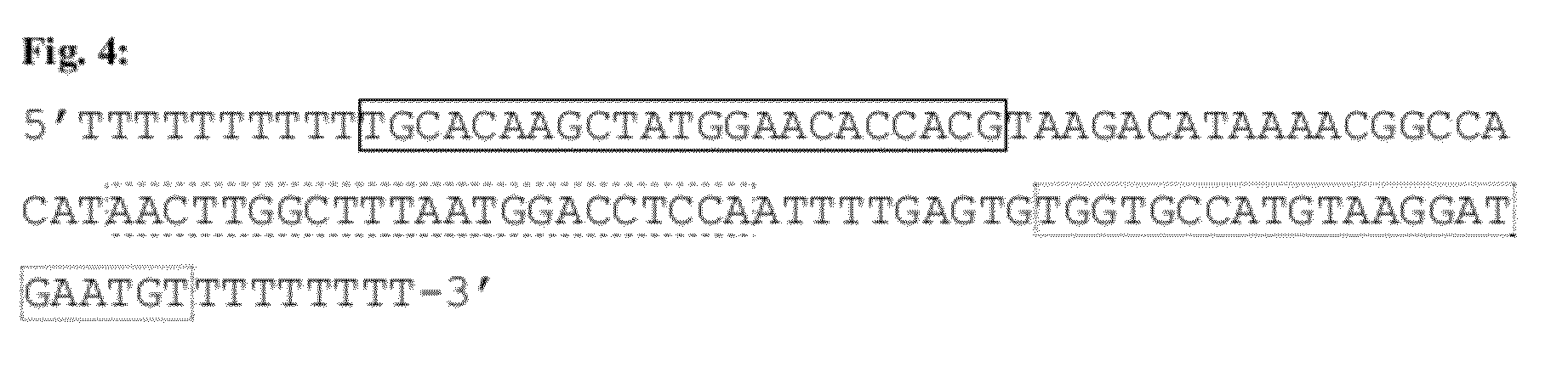 Ligation-based method of normalized quantification of nucleic acids