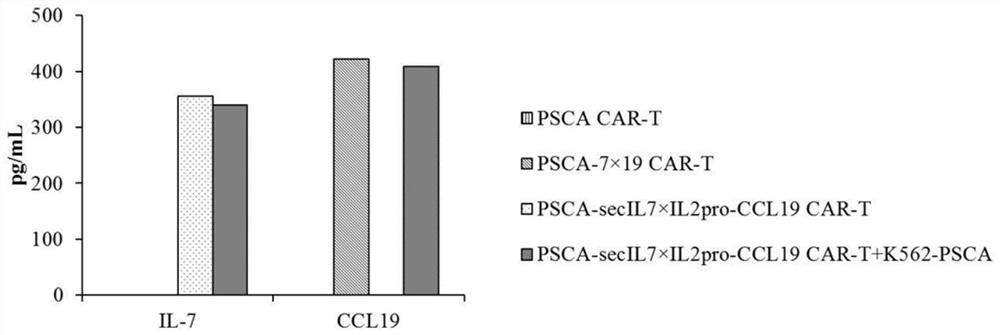 Fourth-generation CAR-T cell and application thereof