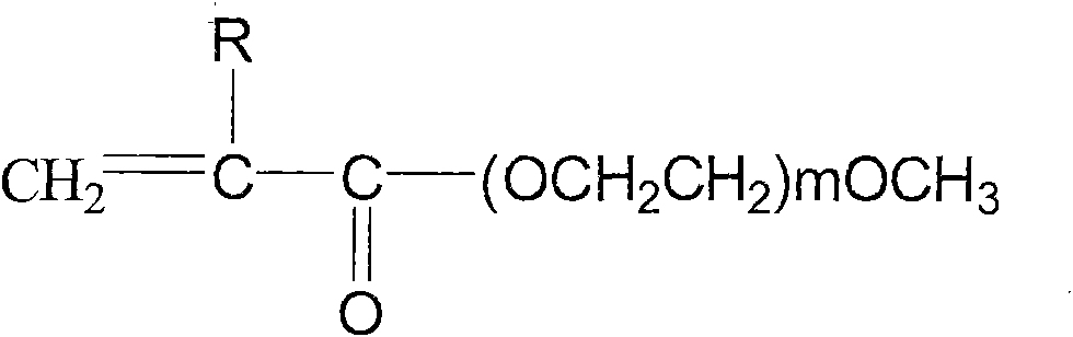 Multi-branched polycarboxylic water reducer with excellent function of slump protection and preparation method thereof