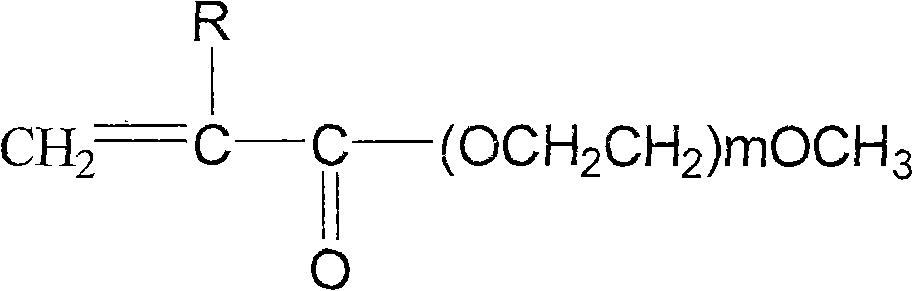 Multi-branched polycarboxylic water reducer with excellent function of slump protection and preparation method thereof