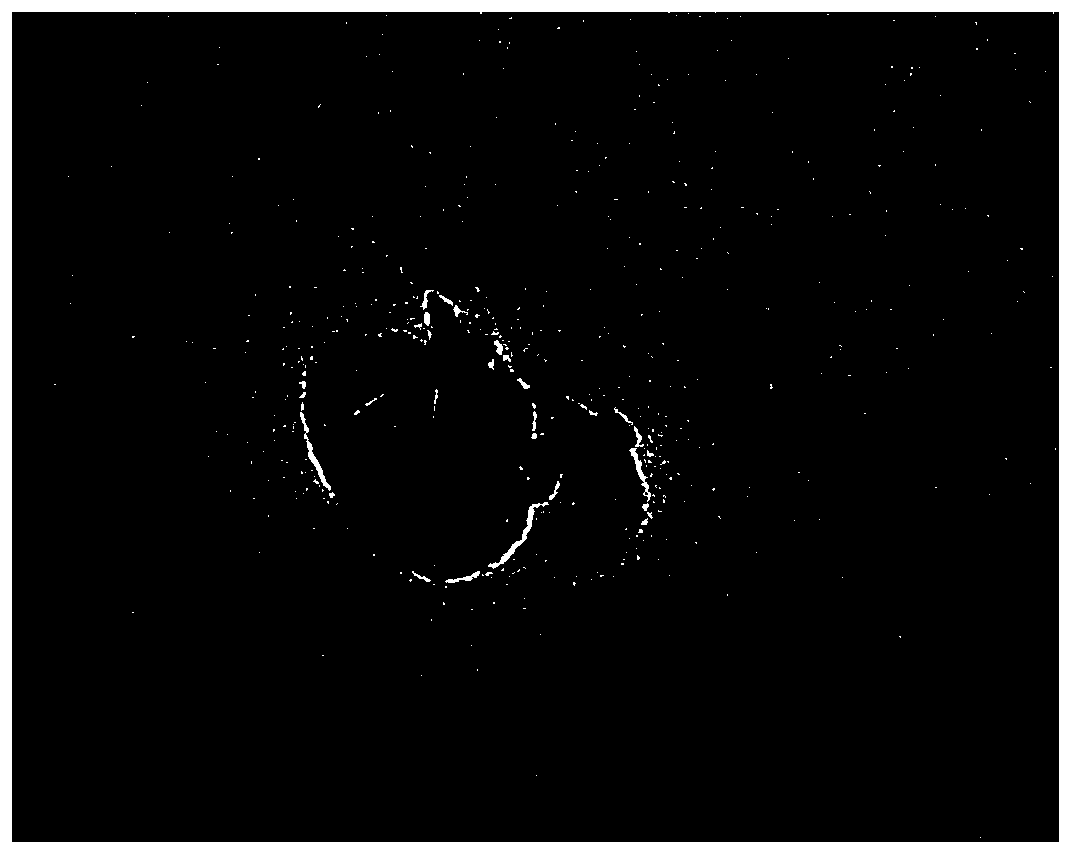 Nuclear magnetic resonance imaging-guided photo-thermal and photodynamic diagnosis and treatment integrated reagent and preparation method thereof