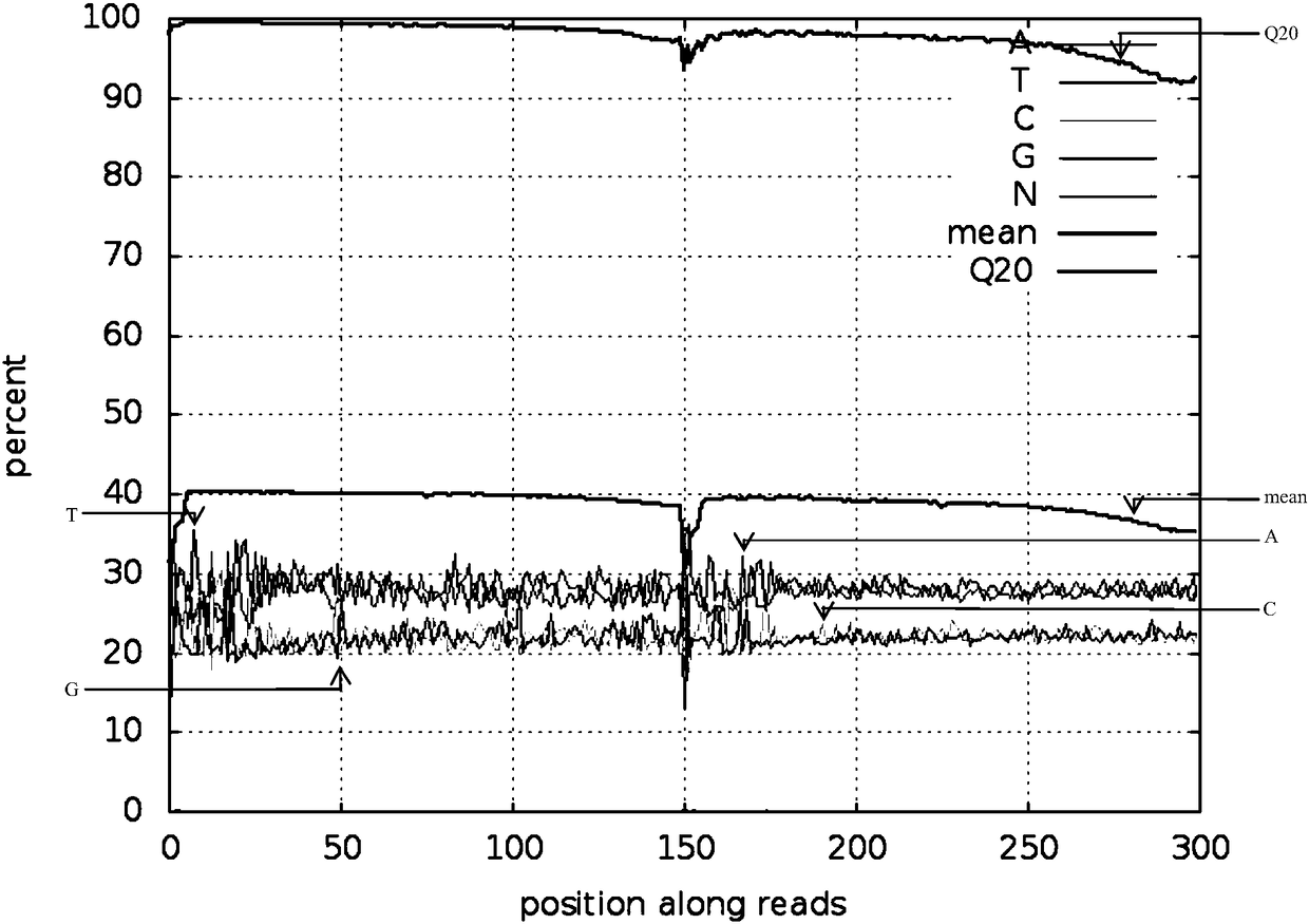 Reduced genome library building method for millet