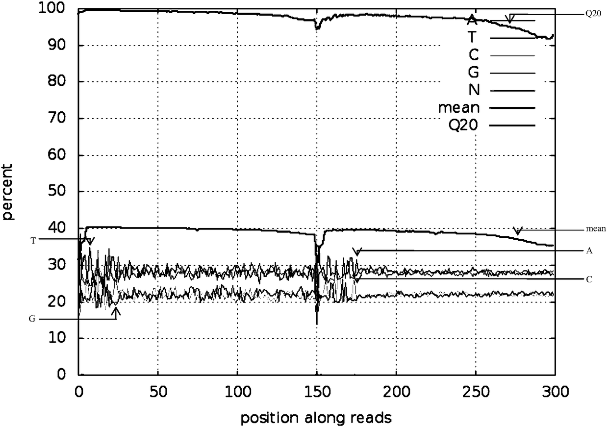 Reduced genome library building method for millet