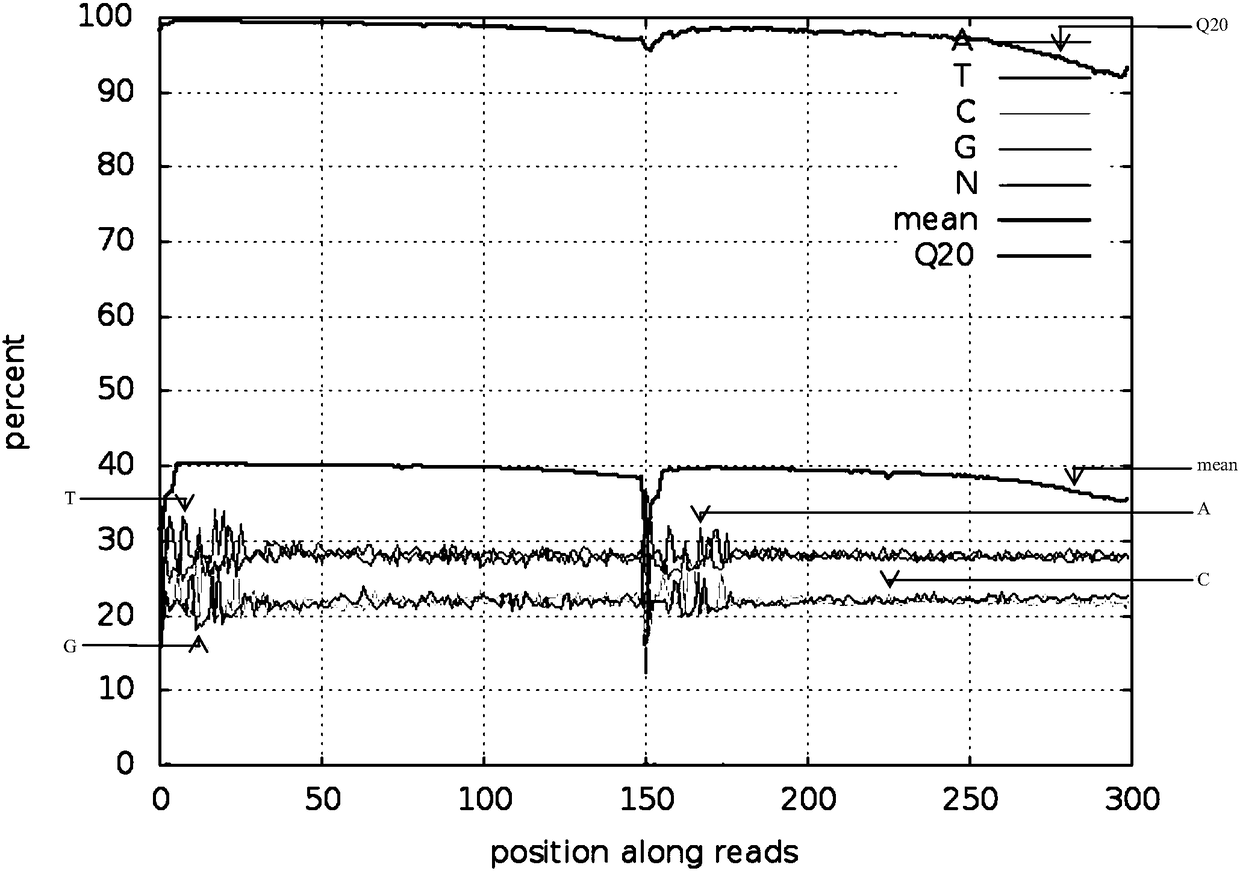 Reduced genome library building method for millet