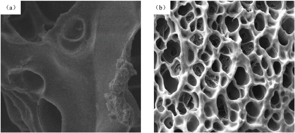 Modified chitosan/nanocellulose composite aerogel and preparation method and application thereof