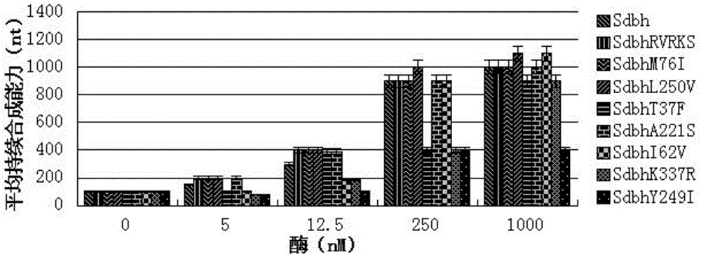 DNA polymerase for improving synthesis efficiency of catalytic DNA