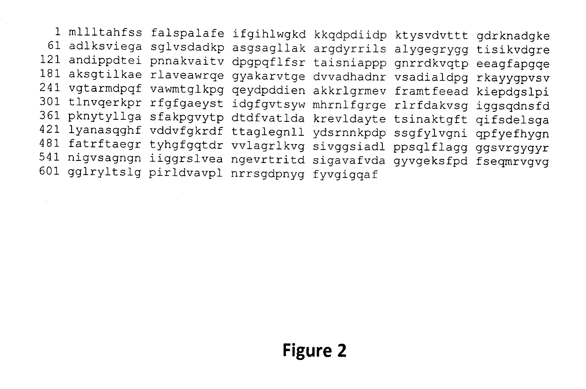 <i>Brucella abortus </i>proteins and methods of use thereof