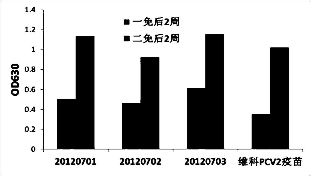 A heat-resistant freeze-drying protectant for recombinant pseudorabies virus vaccine and its preparation method