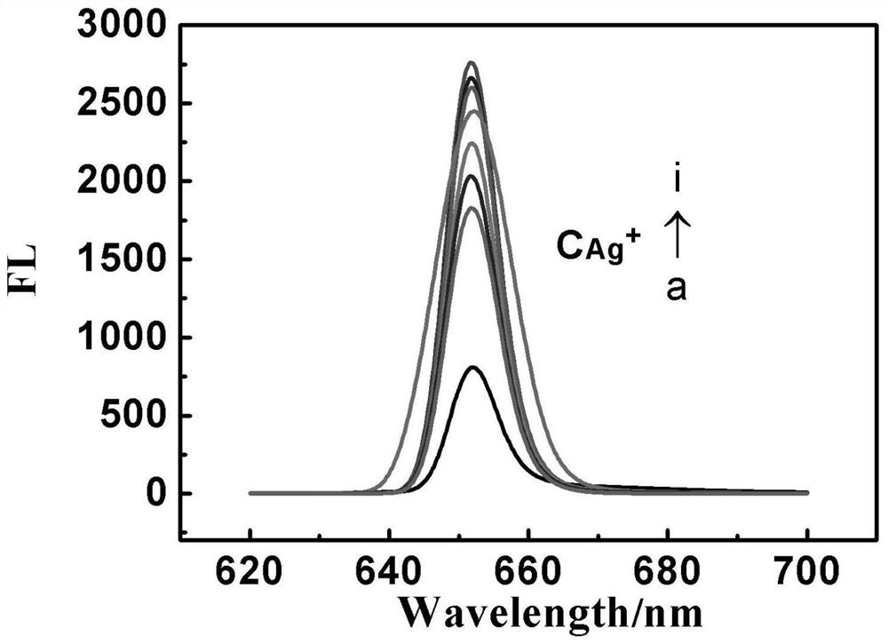 Nanocapsule-nucleic acid biomolecule compound capable of simultaneously detecting Hg2+and Ag+ and preparation method of nanocapsule-nucleic acid biomolecule compound