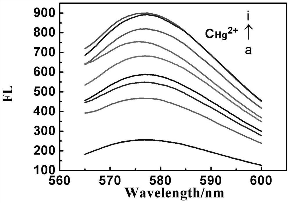 Nanocapsule-nucleic acid biomolecule compound capable of simultaneously detecting Hg2+and Ag+ and preparation method of nanocapsule-nucleic acid biomolecule compound