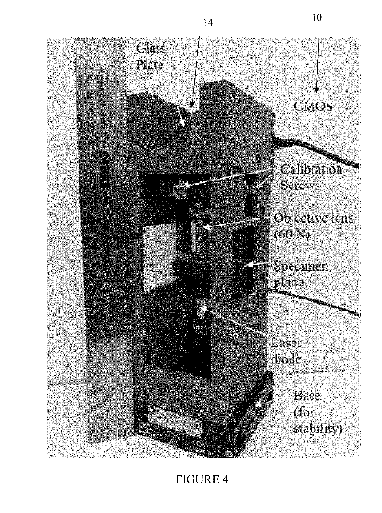 Automated Cell Identification Using Shearing Interferometry