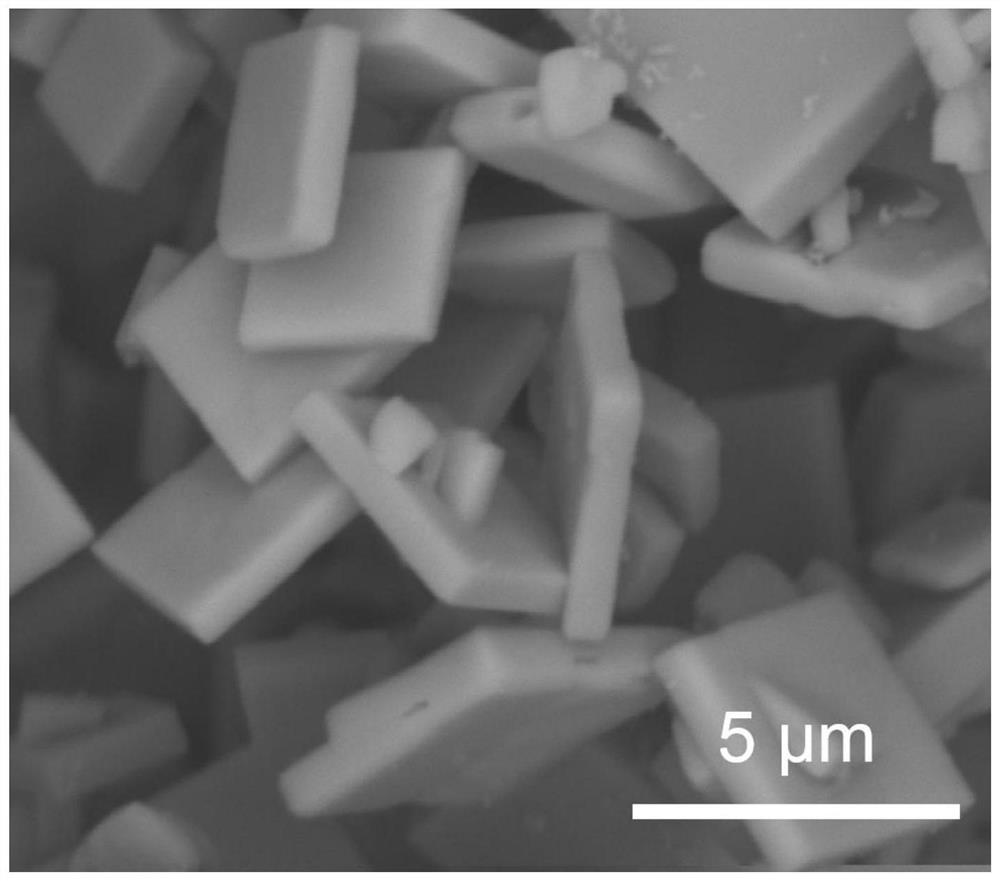 Bismuth ferrite catalyst and its preparation method and application