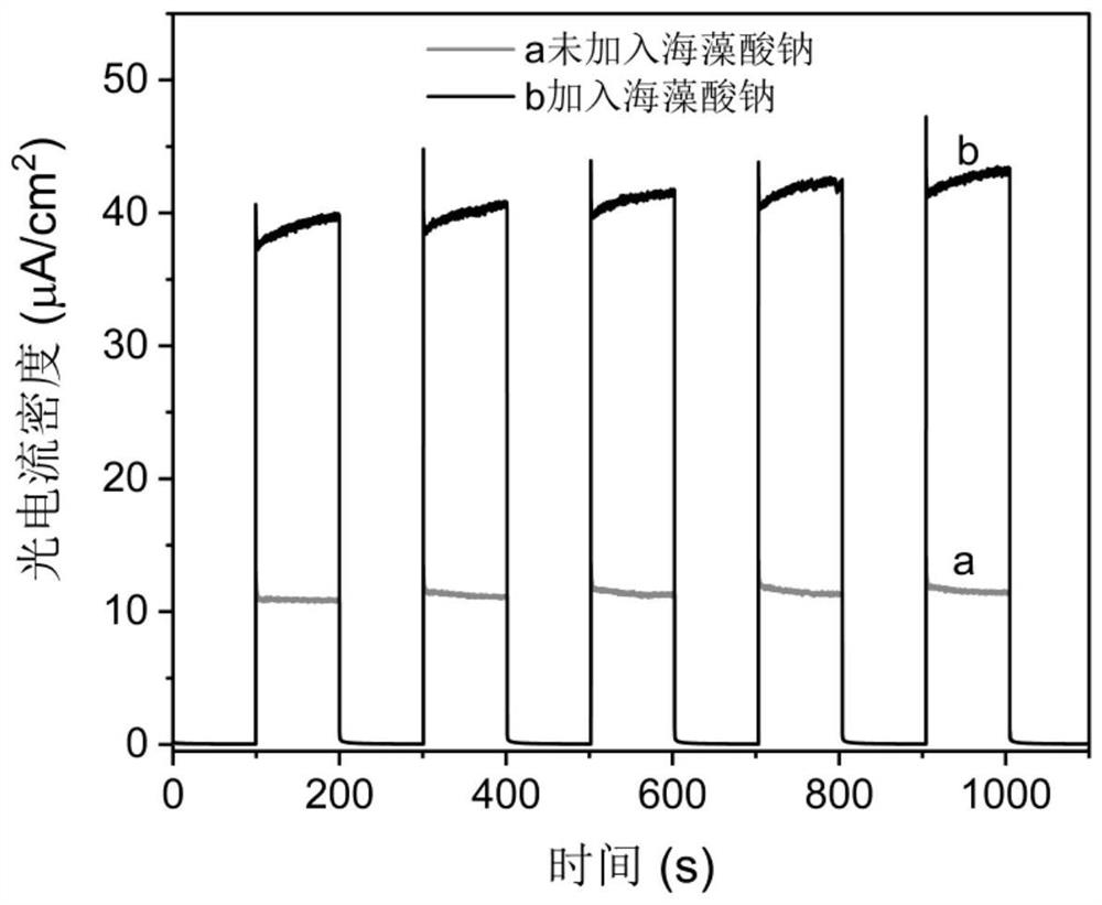 Bismuth ferrite catalyst and its preparation method and application