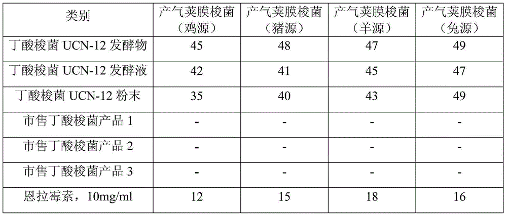 Novel strain Clostridium butyricum UCN-12 and composition and application thereof