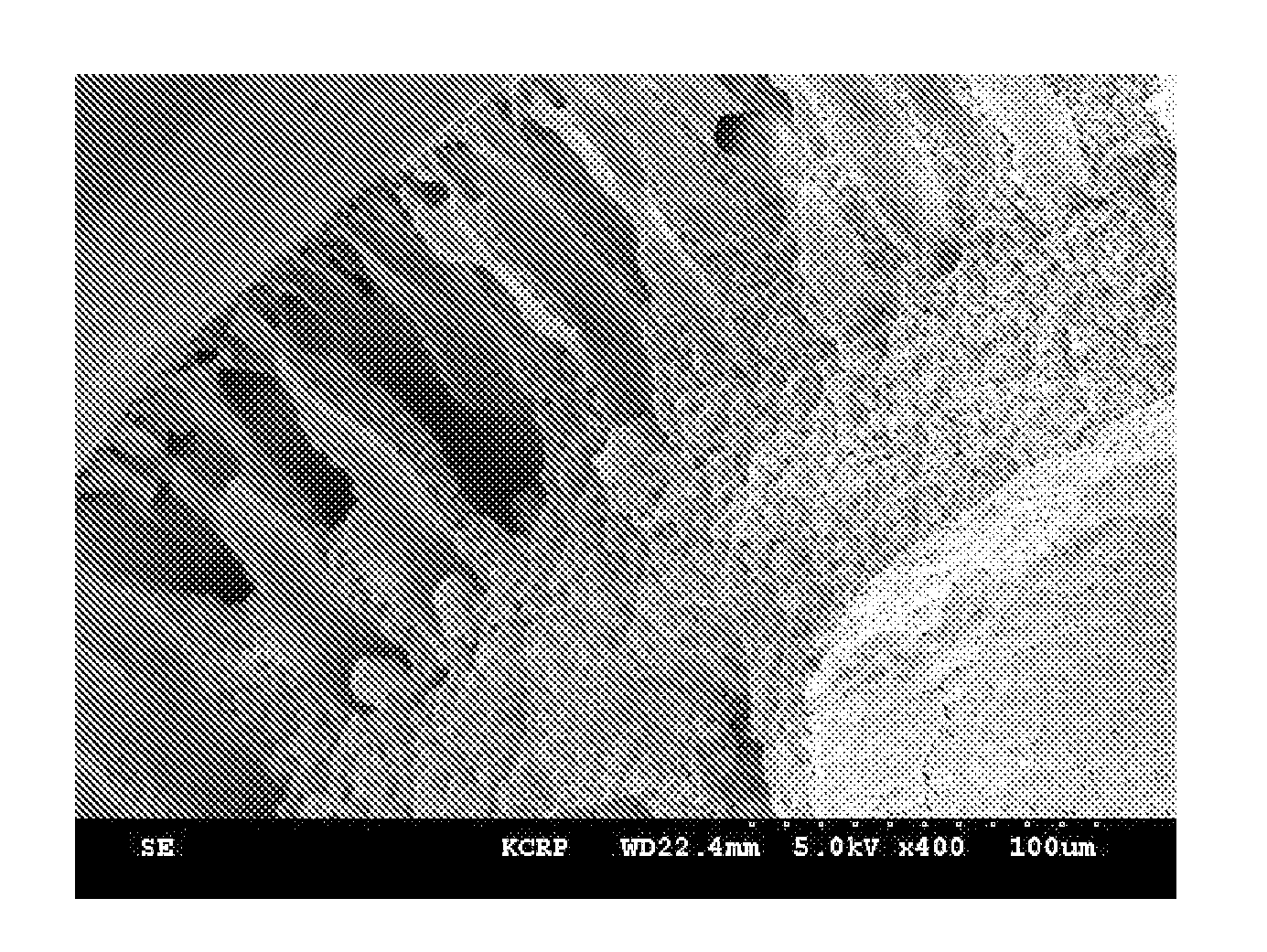 Porous membrane and preparation method thereof