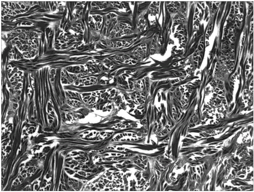 Biological scaffold material suitable for cell growth and preparation method of biological scaffold material