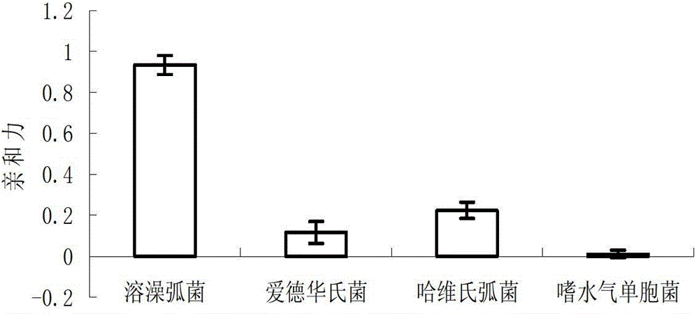 Six oligonucleotide sequences and application thereof