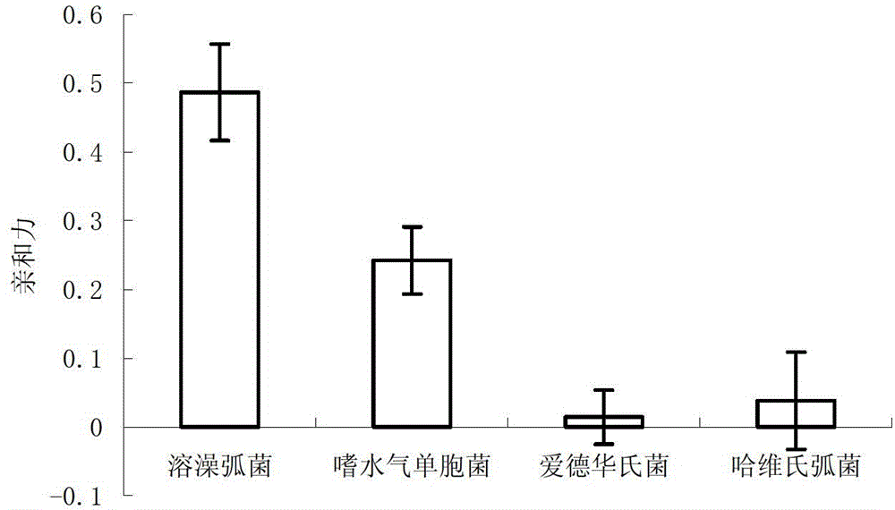 Six oligonucleotide sequences and application thereof