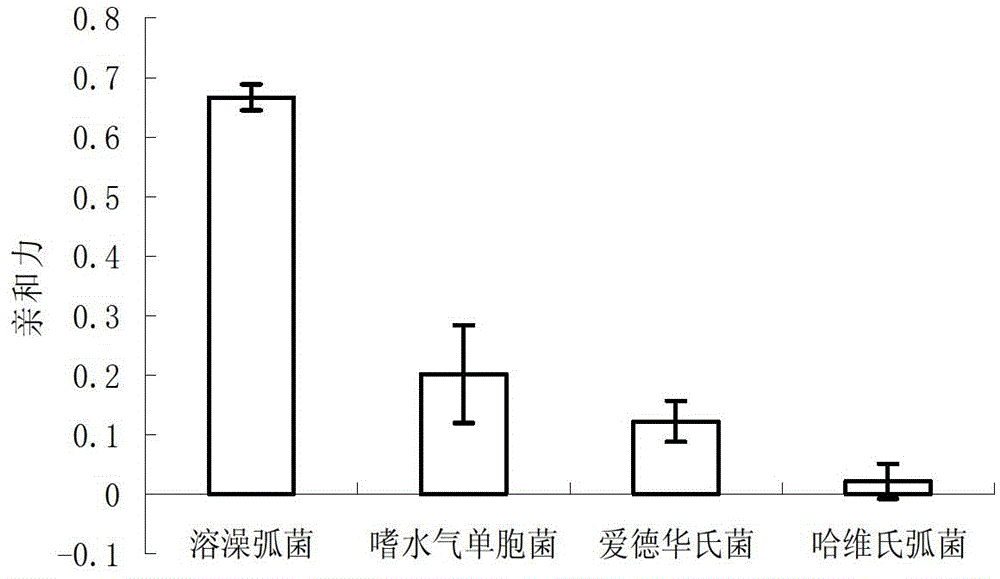 Six oligonucleotide sequences and application thereof