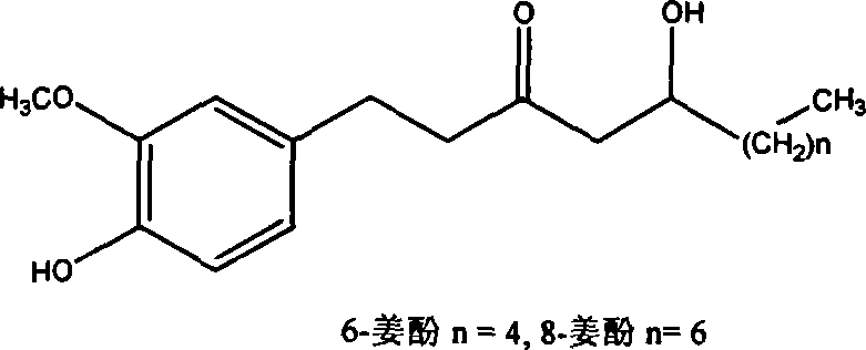 Method for preparing 6-gingerol and 8-gingerol from ginger