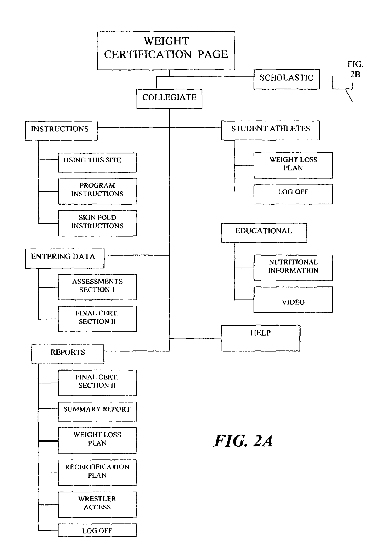 System and method for monitoring weight and nutrition