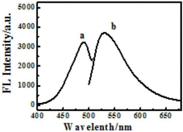 A fluorescent sensor, its preparation method and use